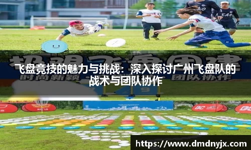 飞盘竞技的魅力与挑战：深入探讨广州飞盘队的战术与团队协作